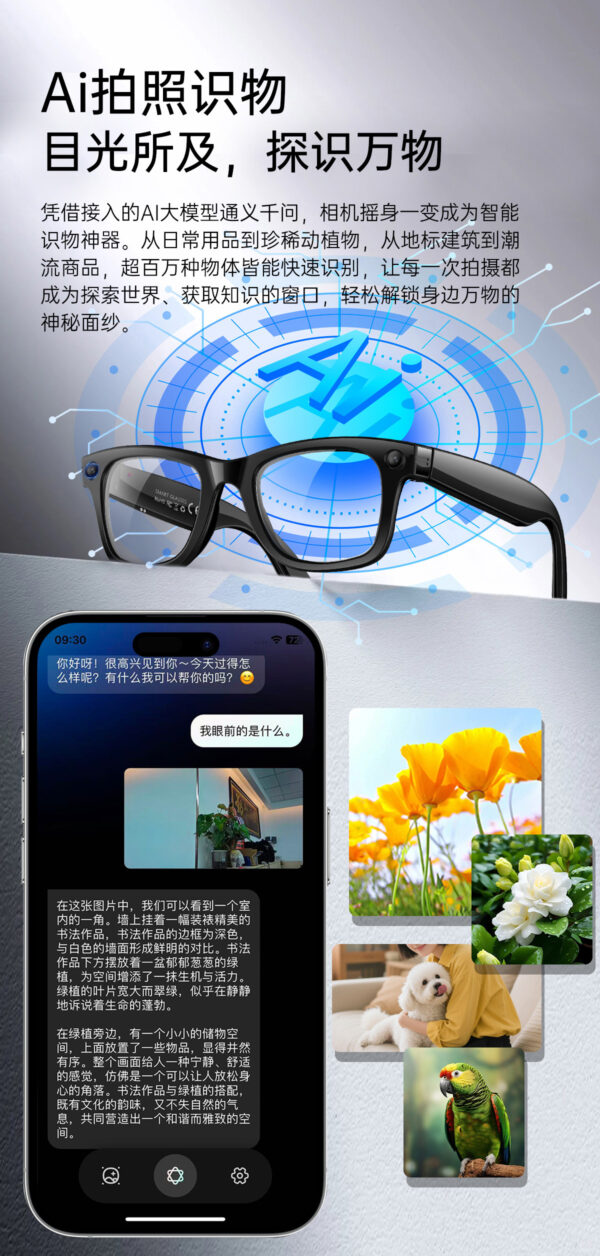 AI Smart glasses（W620）