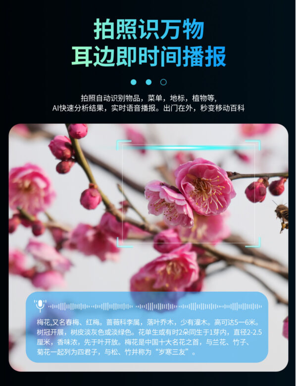 103153021 AI Smart glasses(CY01)